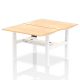 Rayleigh Back-to-Back 2 Person Height Adjustable Bench Desk